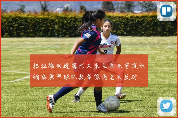 格拉维纳透露尤文米兰国米曾提议缩减意甲球队数量德佬坚决反对